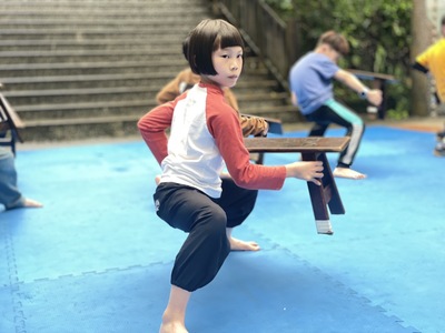 武術不凡