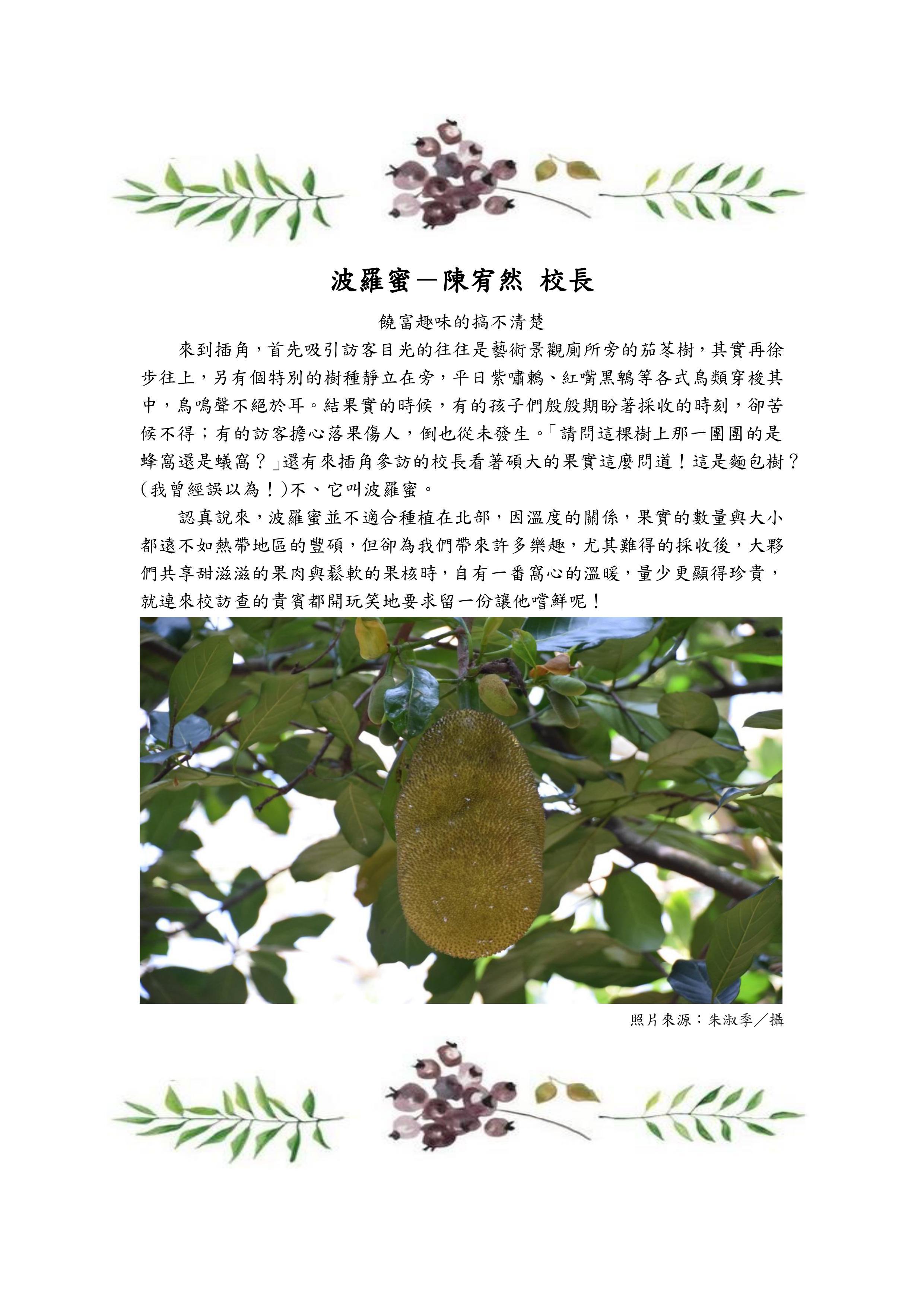 波羅蜜