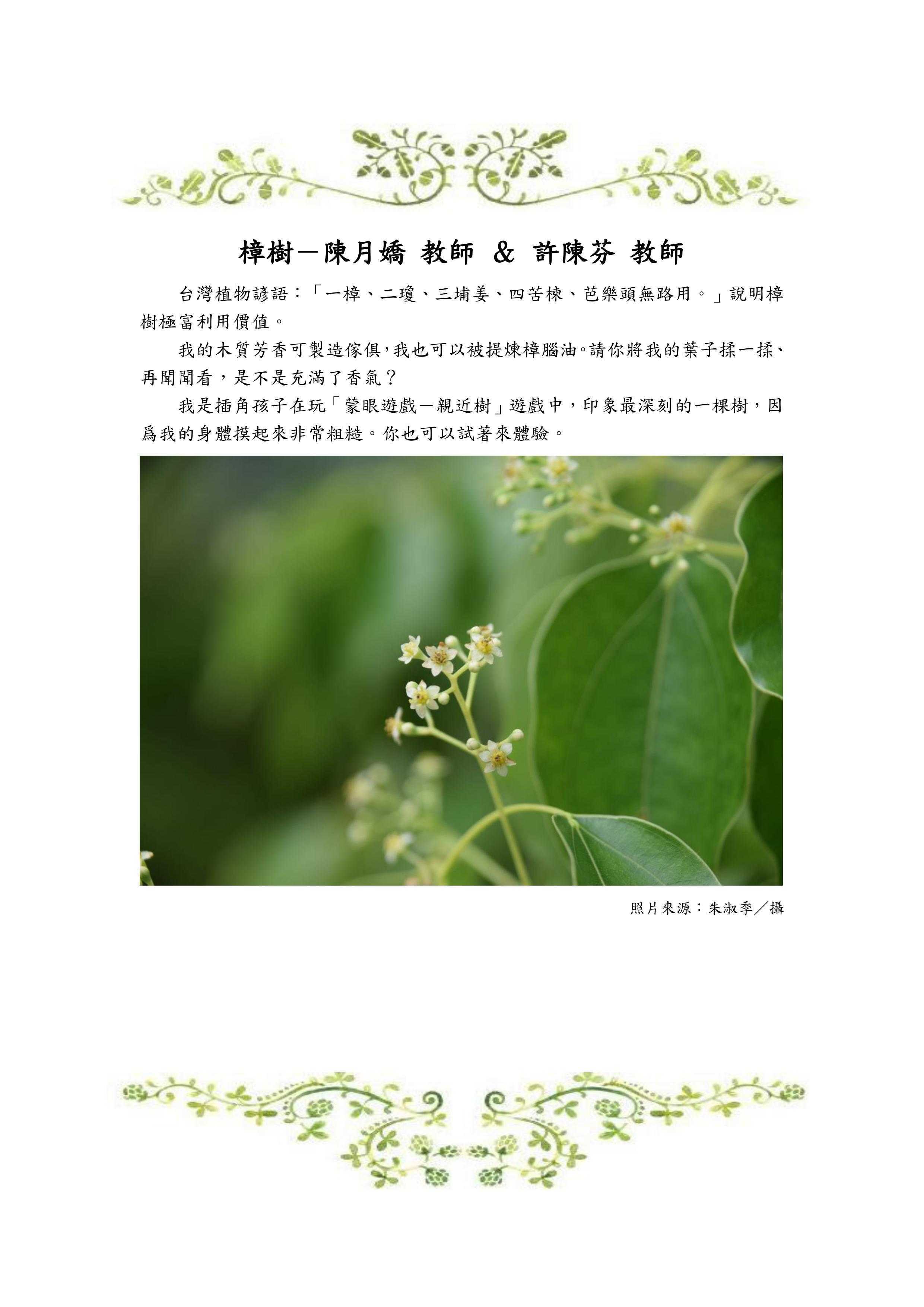 樟樹