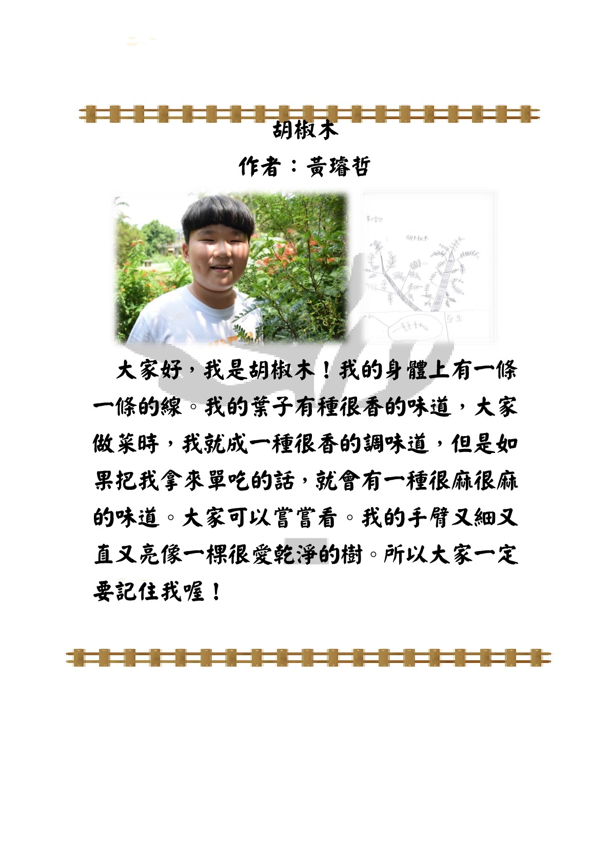 胡椒木
