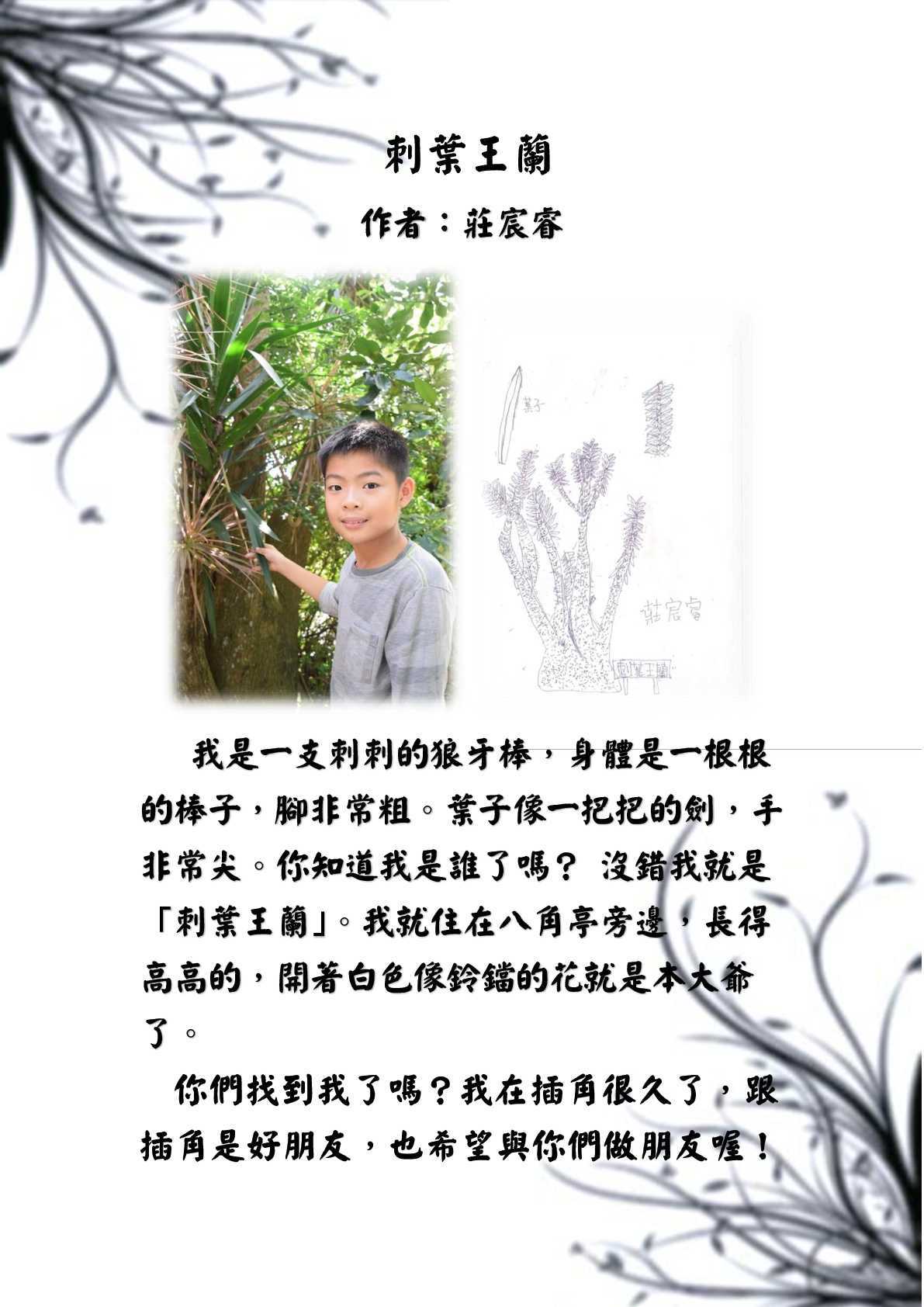 刺葉王蘭