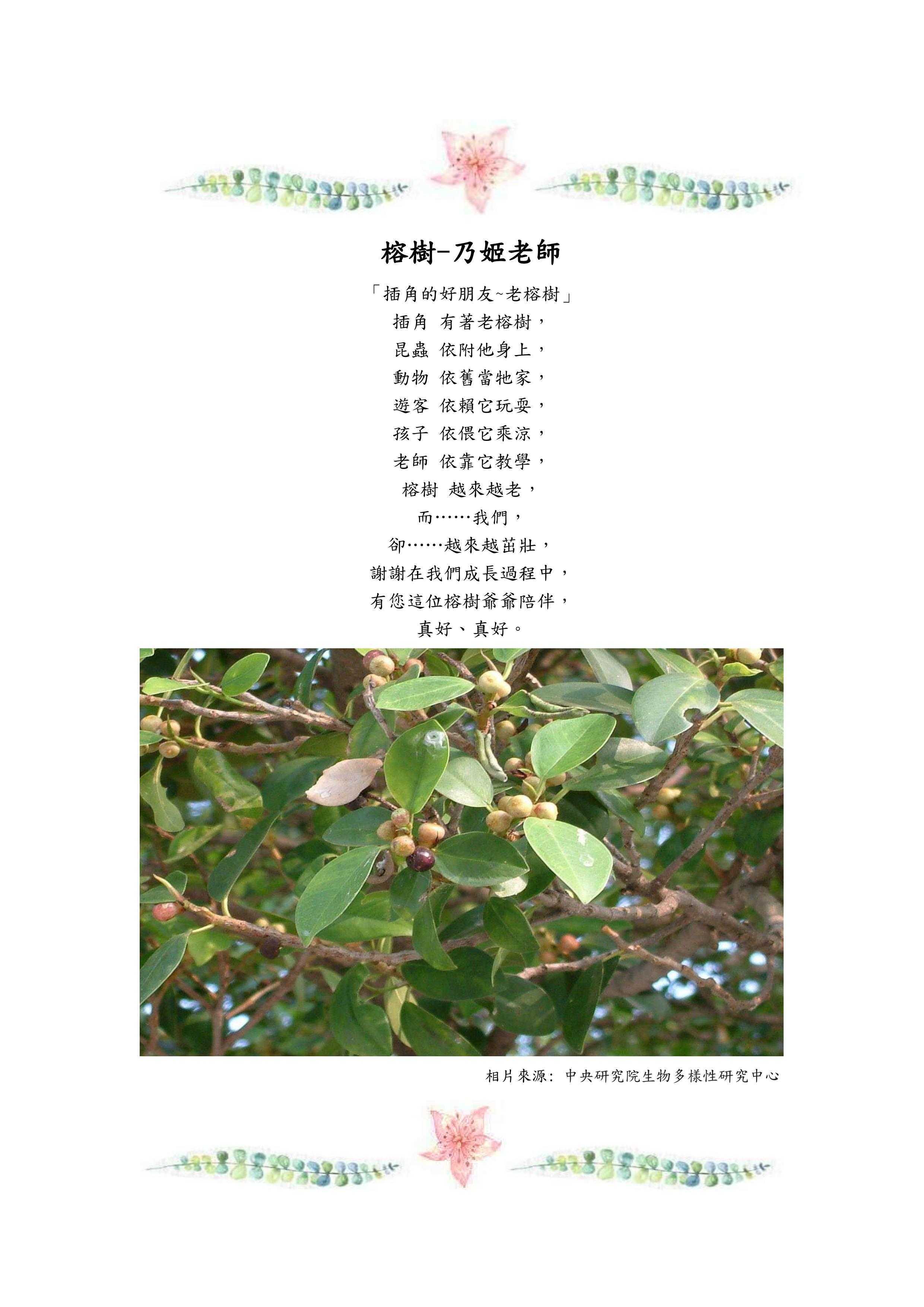 榕樹