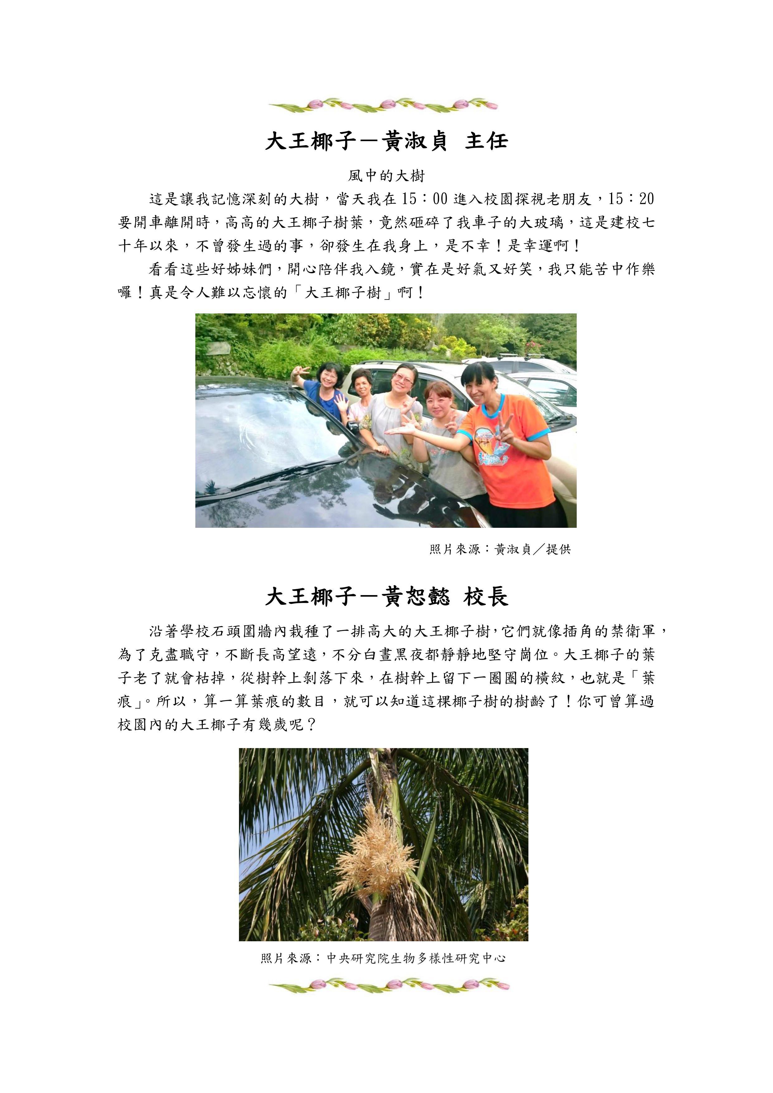 大王椰子