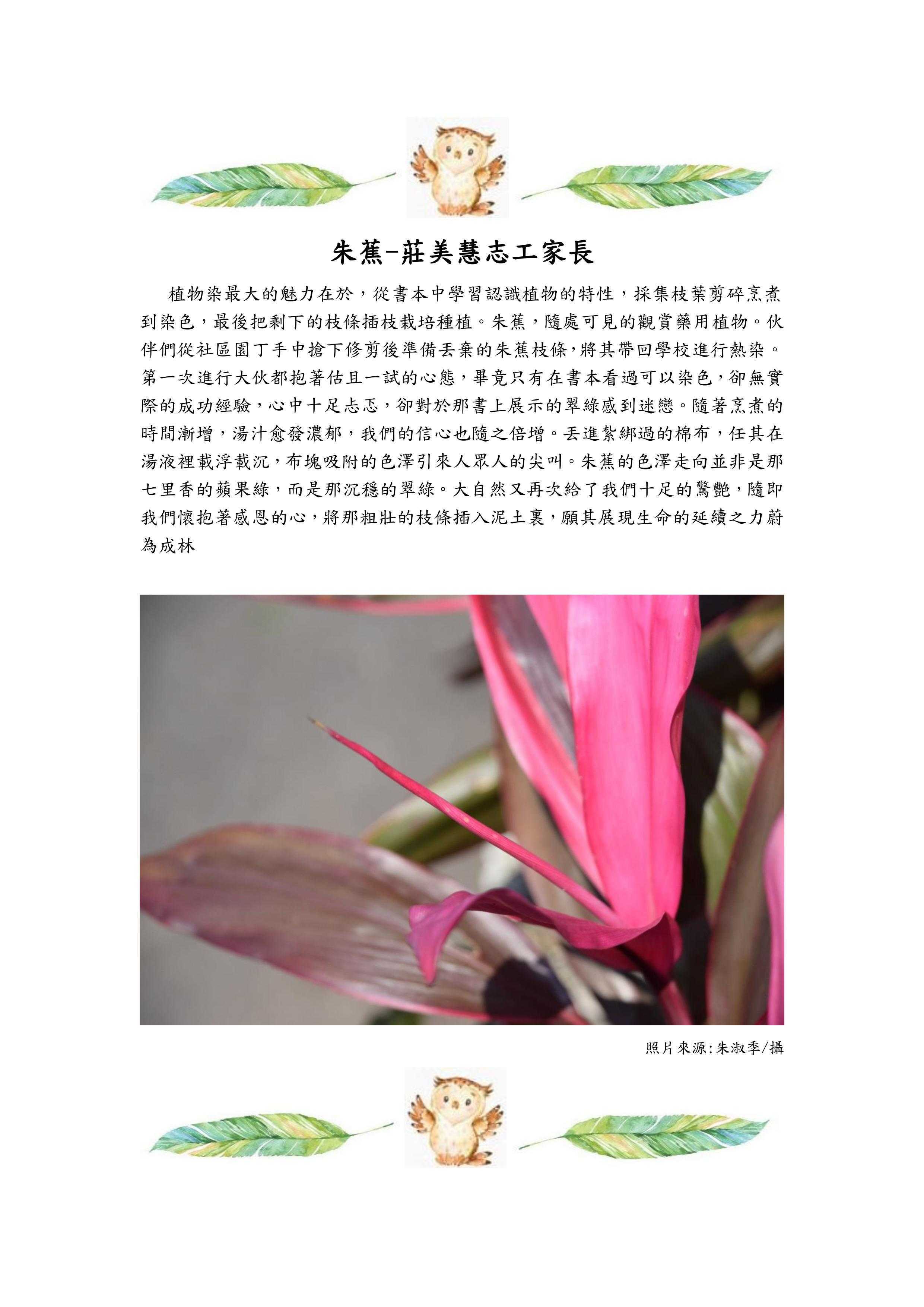 朱蕉