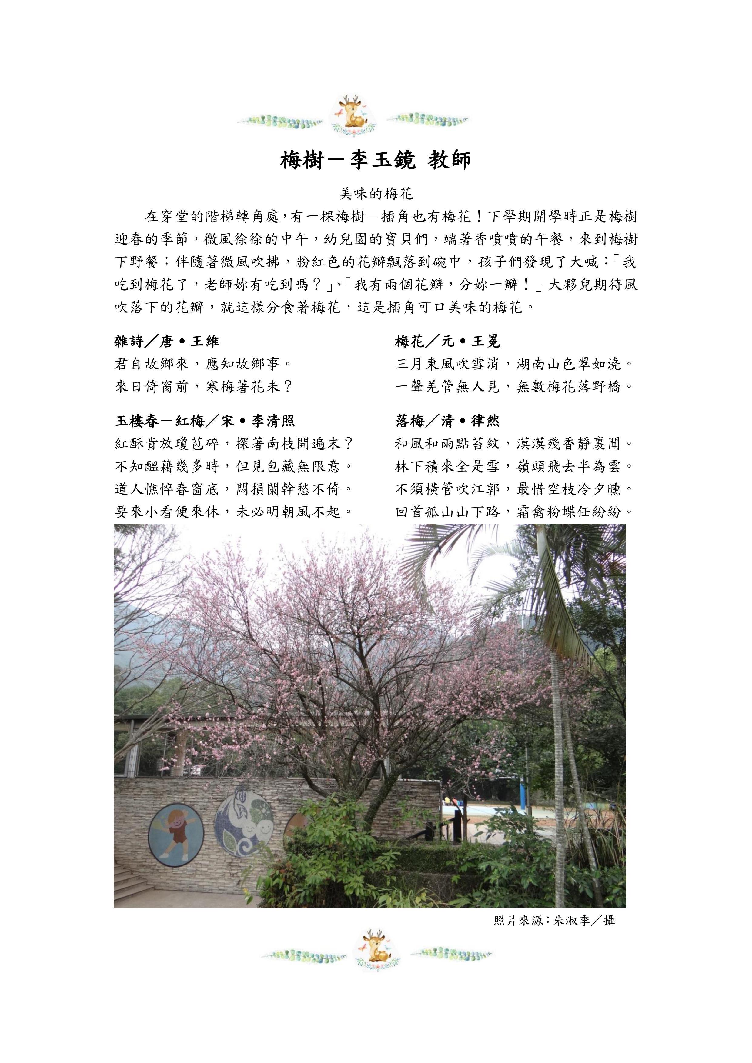 梅樹