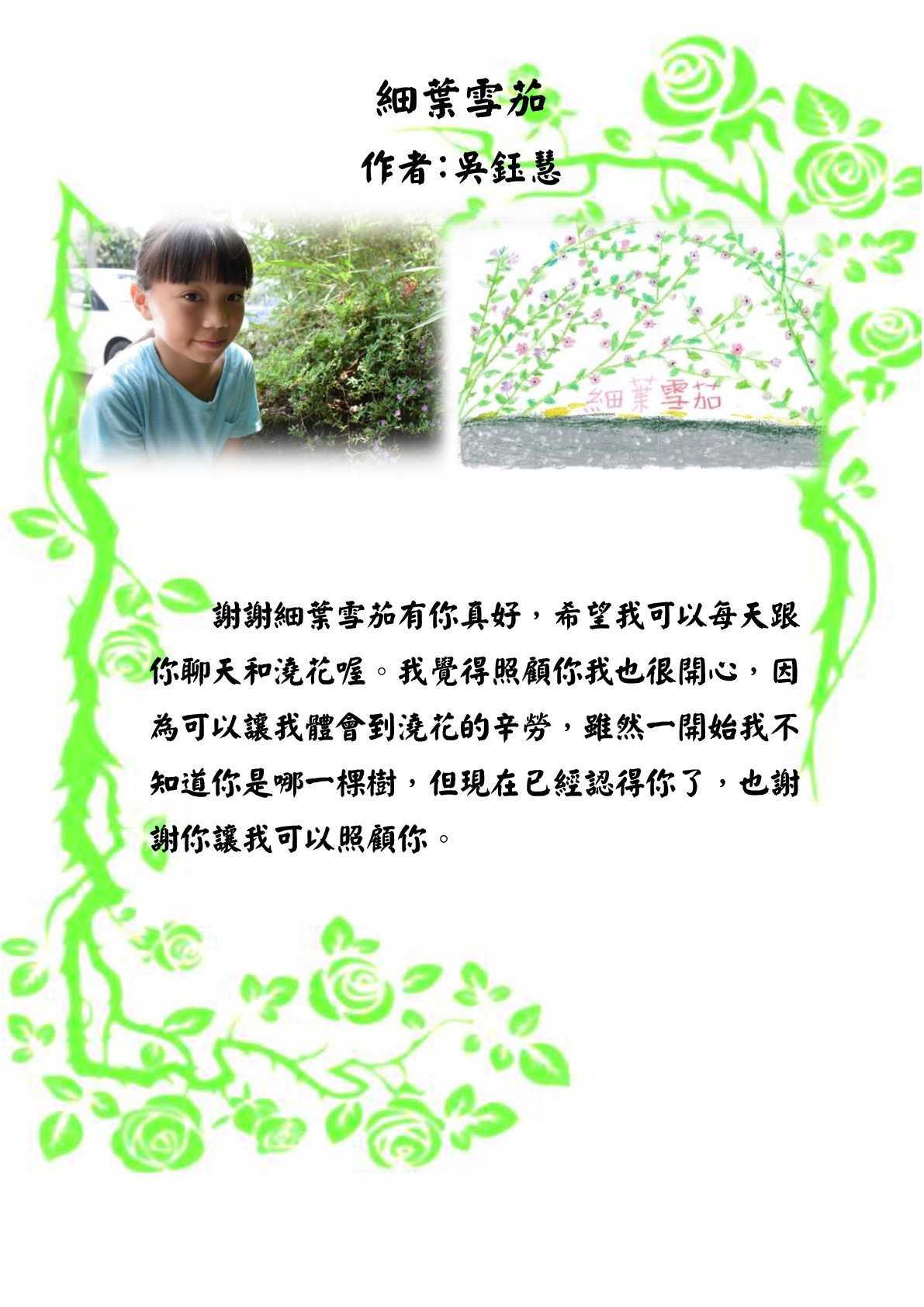 細葉雪茄