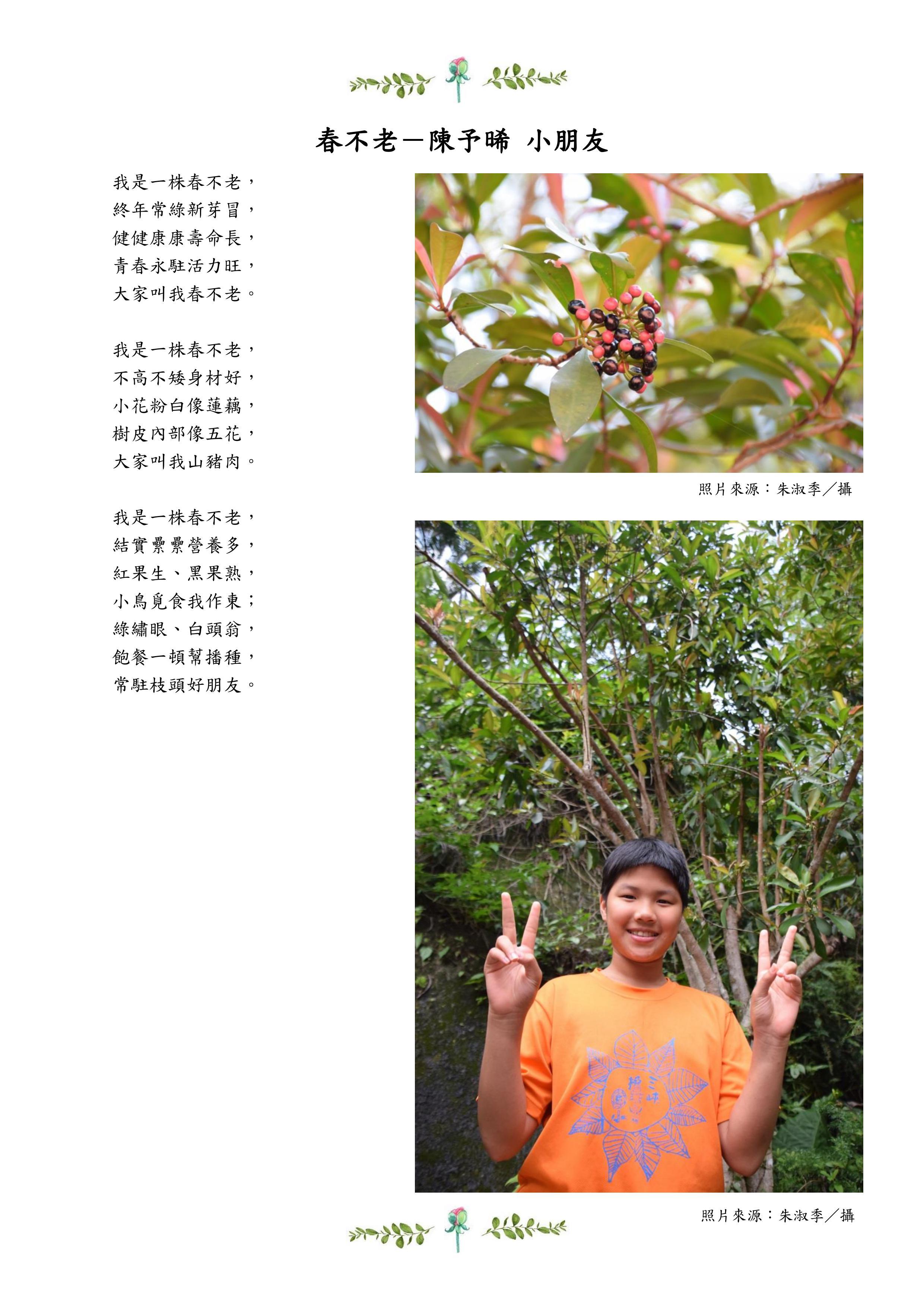 春不老