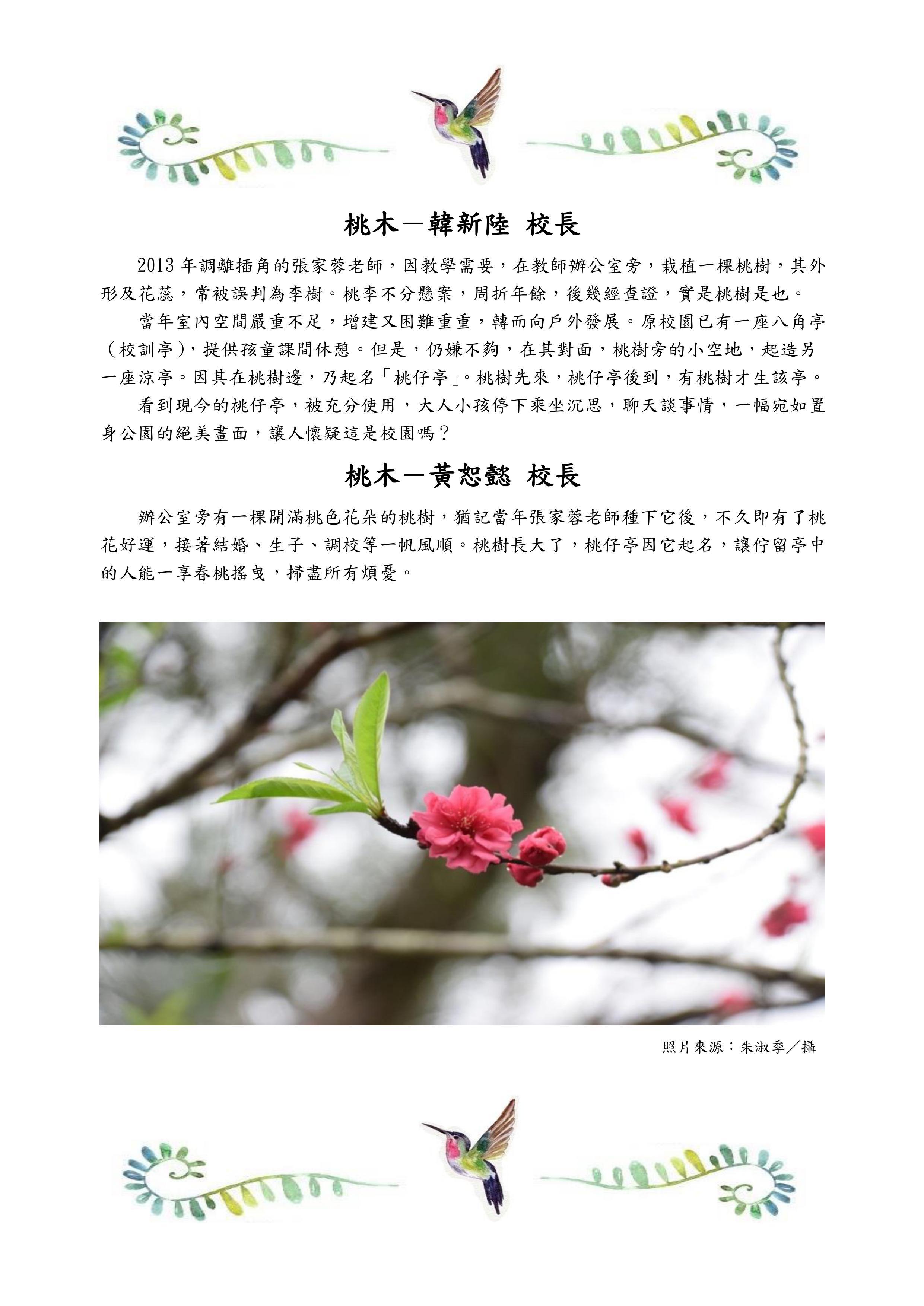 桃木
