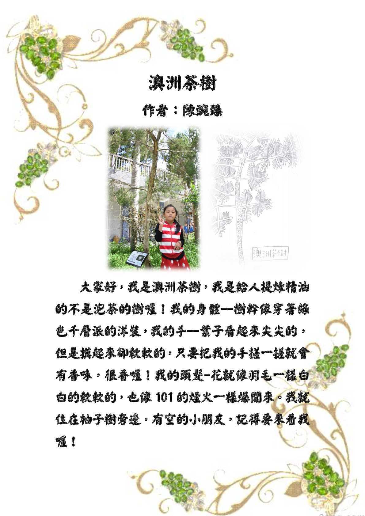澳洲茶樹