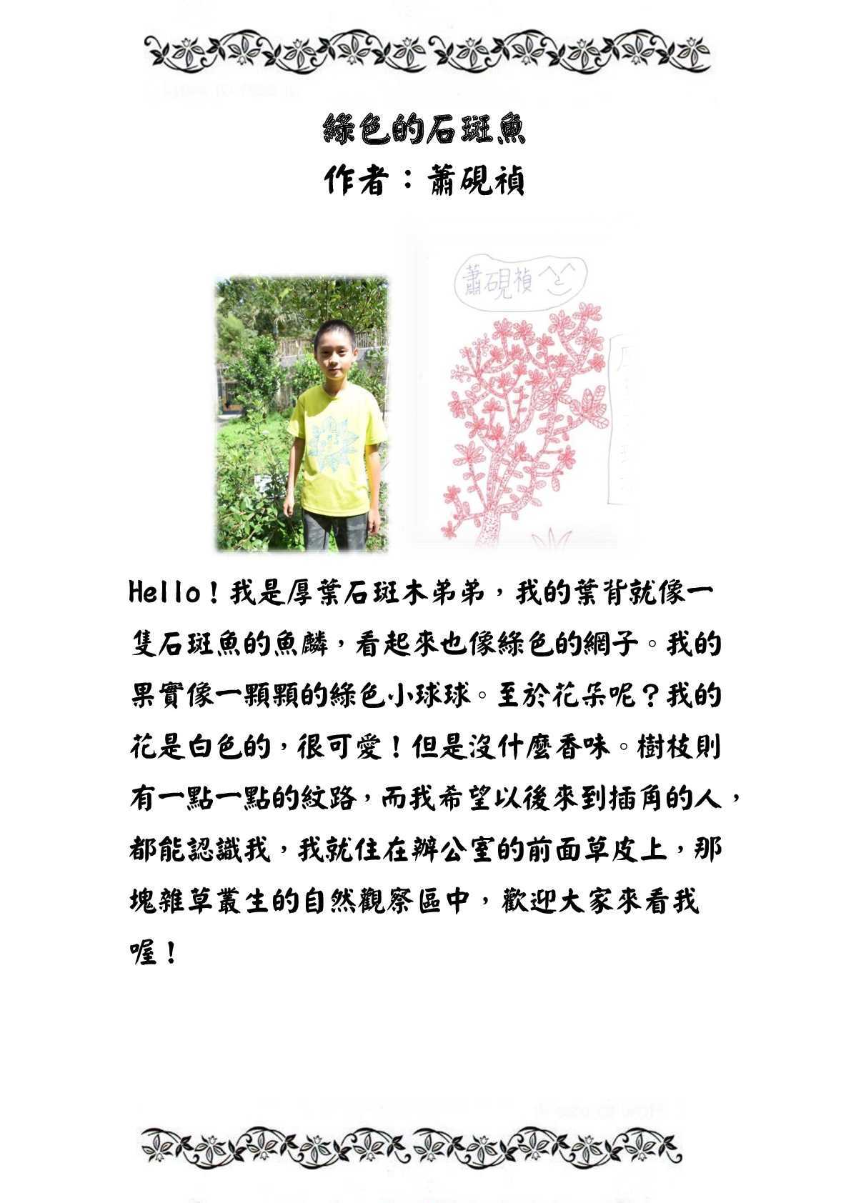 厚葉石斑木