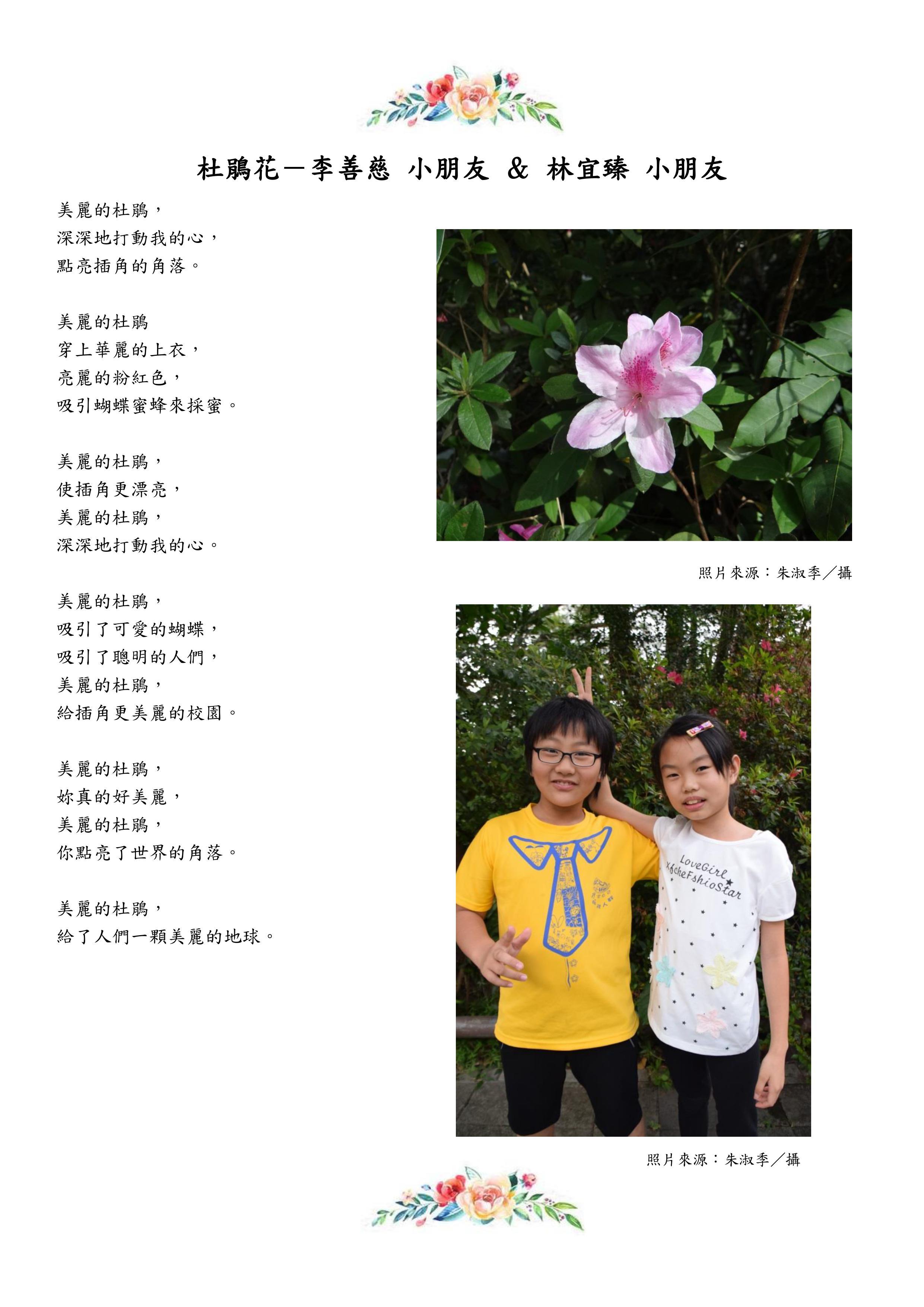 杜鵑花