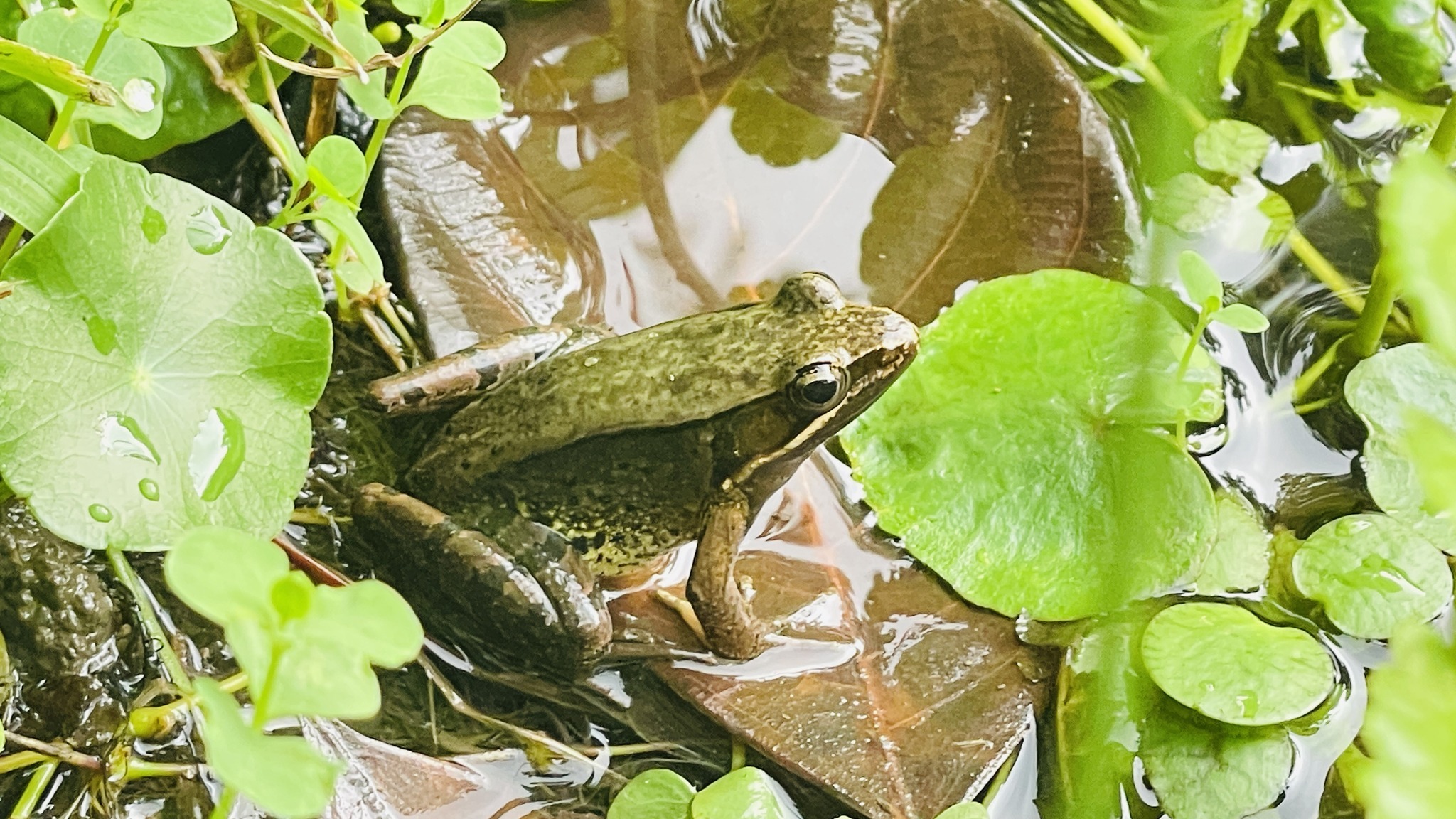 學校特色